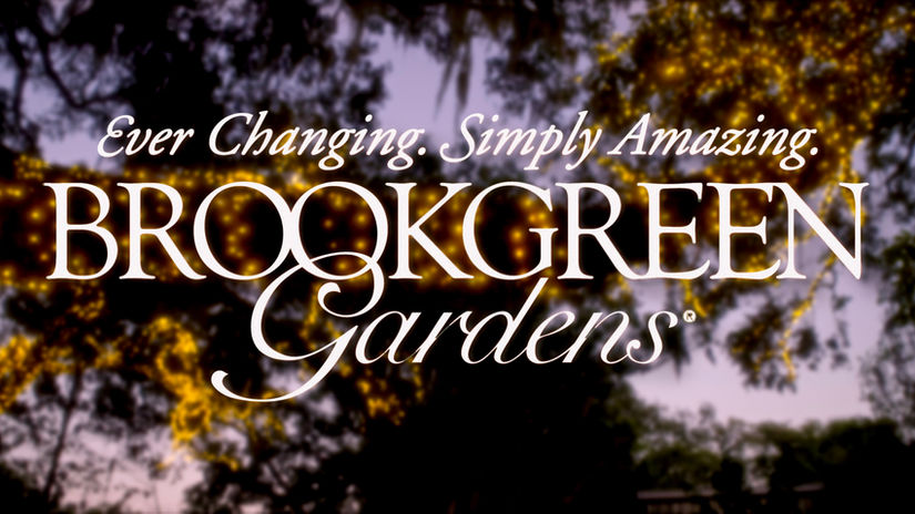 Brookgreen Gardens- Next Generation Campaign